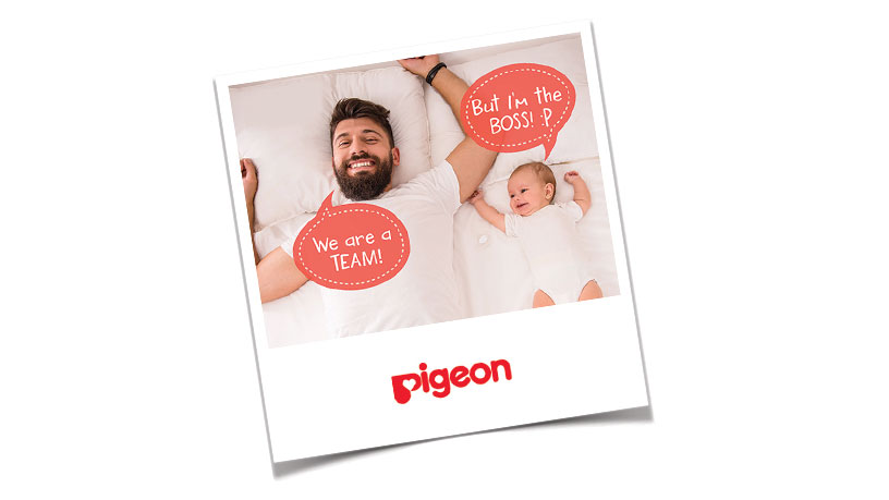 Love Begets Love - Pigeon